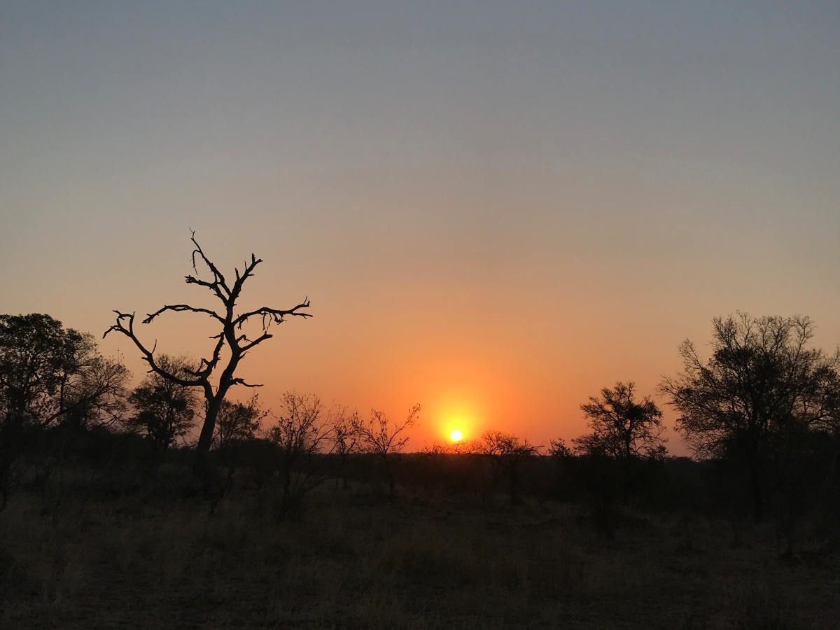 I Got Swept Away On An African Safari…