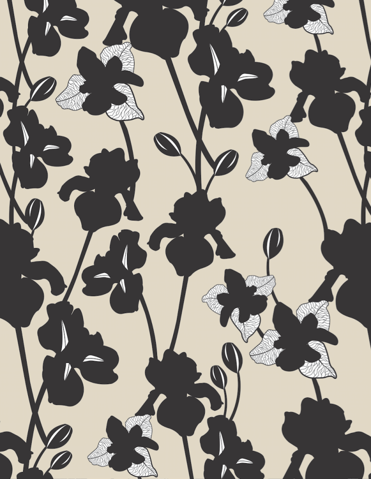 Screen Shot 2019-02-22 at 1.58.58 PM