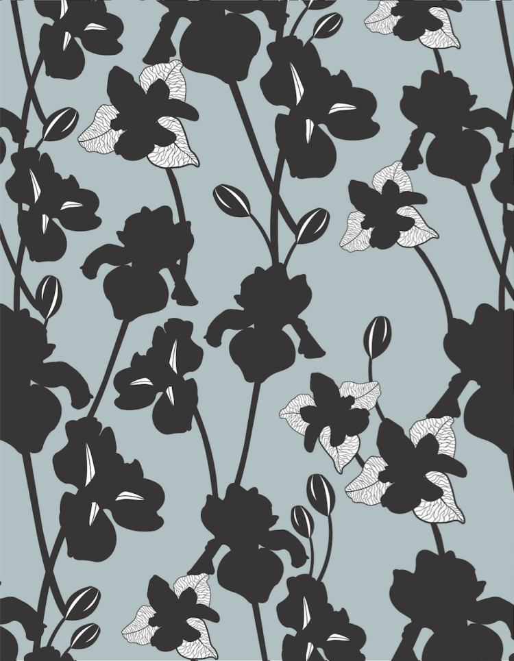 Screen Shot 2019-02-22 at 1.59.08 PM