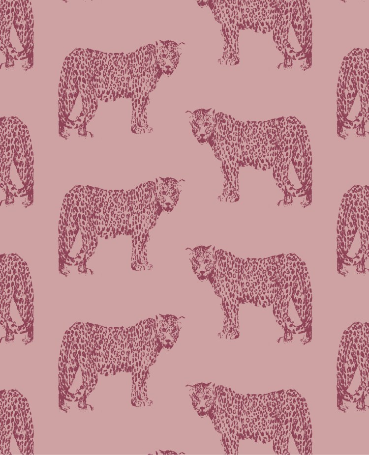 Pink Leopard-1